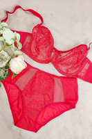 Vivisence Damen Slip Spitze Netz Details Vollschnitt Für Elegante Passform 1044W, rot