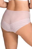 Vivisence Damen Slip Mit Klassischem Schnitt Eleganter Slip Zarte Spitze Weiches Beiges Netz Baumwollzwickel Und Elastische Kanten Für Höchsten Komfort, Beige